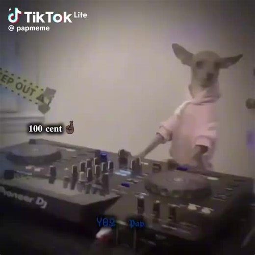 5L (@madrde55)’s videos with original sound - 5L