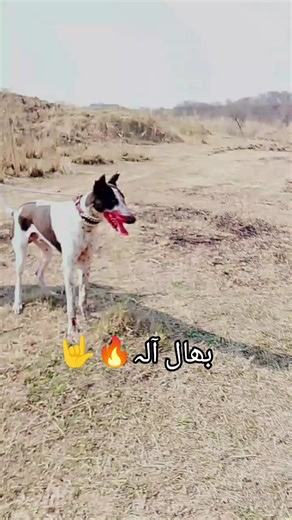 Innovative Tools for Creative Expression