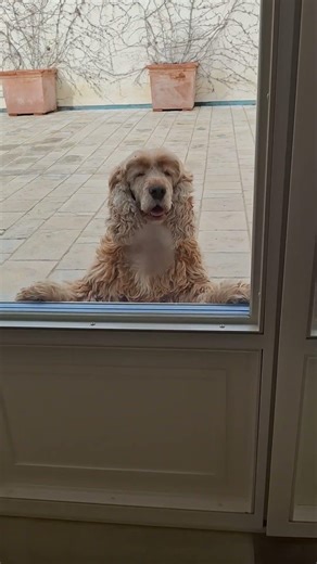 so cute #foryou #highilts #foryourpage