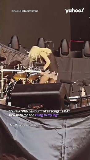 Gossip Girl star Taylor Momsen gets rabies shots after bat attacks her on stage | #yahooaustralia