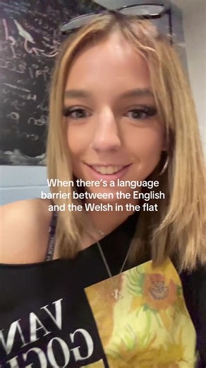 Navigating Language Barriers: English and Welsh Conversations