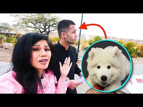 He Knows Who Kidnapped our Dog