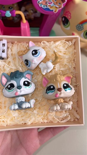 Exploring My Littlest Pet Shop Collection