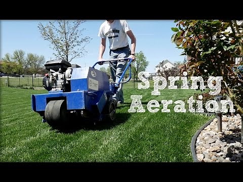 Spring Aeration!