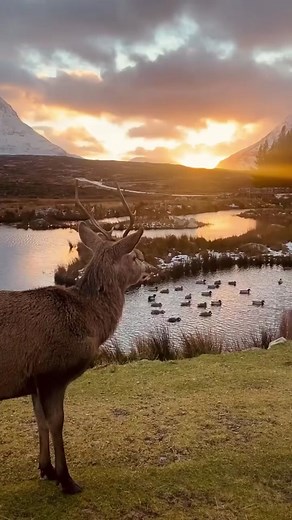 Exploring the Stunning Glencoe Highlands in Scotland