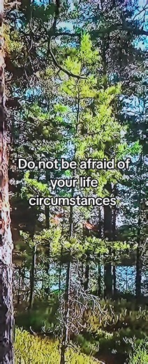 Do not be afraid of your life circumstances #wise #growth #wisdom #people #people