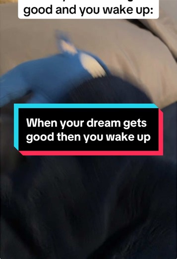 #sonicplushadventure #sonicplushvideos #sonicplushtiktoks