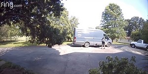 VIDEO: Amazon delivery driver steals 3 newborn kittens from Tennessee home