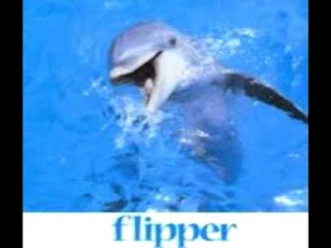 Flipper laughs - Why savers are losers