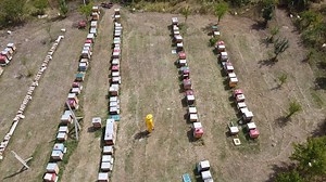 80K views · 743 reactions | Apicultura în familia Bozianu din satul...