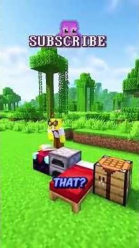 Minecraft, But Whoever Builds the Smallest House Wins! 🏠 ⛏️ #shorts