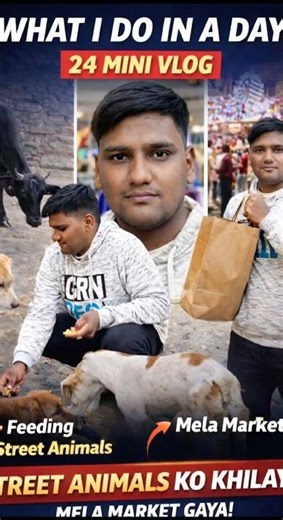 Aaj mere billa ko bandar ne Mara || what i do in a day 24 mini vlog || #shortsfeed #shorts