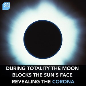 1.3M views · 6.2K shares | Science Channel on Reels | Facebook