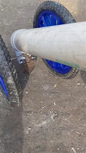 Working Science Model