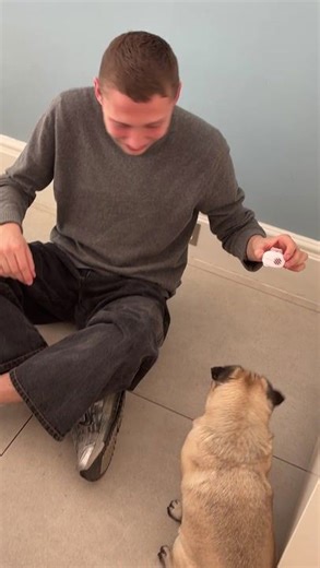 Futuristic AI 'Dr Doolittle' dog collar turns barks into words – we tried it to see if it works