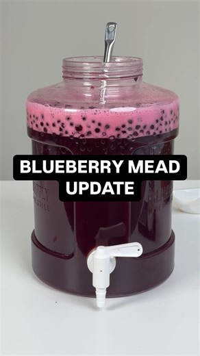 Golden Hive Mead on Instagram: "Blueberry mead update #mead #meadmaking #fermentation #homebrewing"