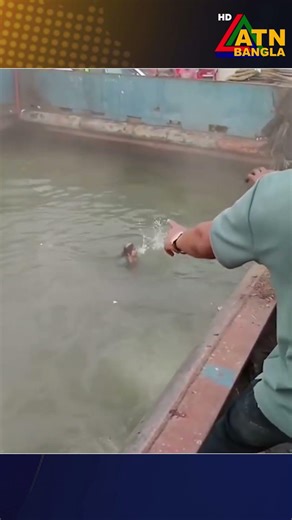 দৌলতদিয়া ঘাটে যে ভাবে পড়ে গেল বাস । Feri | Bus | ATN BANGLA