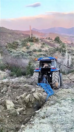 Plowing the Field: How Modern Tractors Revitalize Agriculture