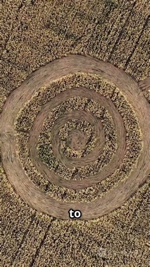 The Amazon Hides a Lost Civilization