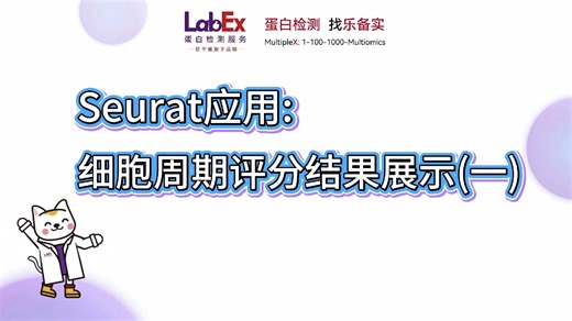 高分生信图模板：Seurat 细胞周期评分结果可视化展示✅