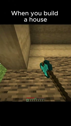 When you build a house 🤣 #memes #minecraft #funny