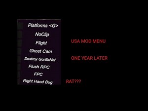 USA mod menu... 1 year later