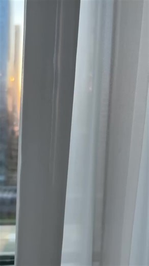 Exploring Aquatic Life and Modern Interiors