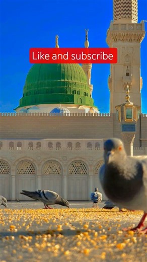 #automobile #beautiful #beautiful #love #love #excavator #duet #bayan #onthisday #answer #crawlere