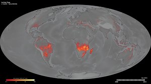 NASA Scientific Visualization Studio | Monthly Active Fires
