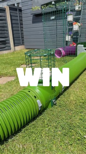 Can tunnels bring you closer to your rabbits? Win a Zippi Tunnel kit worth over £800 so they can scamper from A to B their way and spend time with you on their terms 🐇 Prize draw closes 17/04/24. Enter here - https://www.omlet.co.uk/misc/bond-with-your-buns/ | Omlet - Remarkable Pet Products