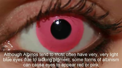 【科学的发绿】这10种颜色的眼睛你见过吗？