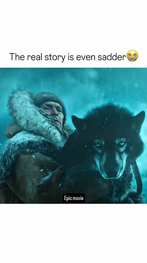 Epic movie Scene | Togo (2019) – A Heroic True Story of Loyalty & Survival ❄🐕 "The world needs more dogs like Togo." Based on a true story, Togo follows the... | Instagram