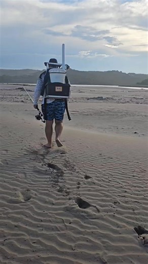 This is what an ALL-IN, ALL-OUT quick session is all about! 🌄 Morne Jacobs aka Snorjagter, hitting his local beach with just enough light for two casts, and making the best if each and every second he had! 🦈🎣 #thetugisthedrug #RoboShark #RoboFinz #shark #bronzie #ocean #sunset #beachlife #livebait #nature #fishing #goldenhour @topfans | RoboFinz