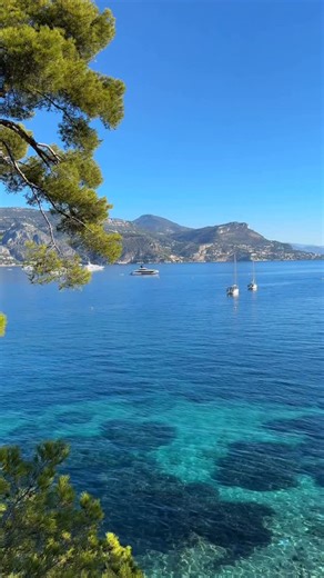 Le sentier du littoral de Saint-Jean-Cap-Ferrat, entre bleu profond et parfums des pins 🌊 🎥 @explorenicecotedazur The Saint-Jean-Cap-Ferrat coastal path, between deep blue waters and the scent of pine trees 🌊 #explorenicecotedazur #saintjeancapferrat #explorefrance | Explore Nice Côte d'Azur