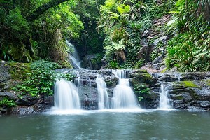 8 Great Gold Coast Family Hikes | Must Do Gold Coast