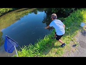 簡単にザリガニが釣れる池