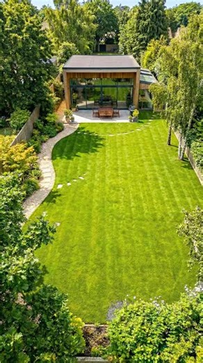 #turtle #transformation