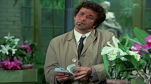 Columbo 11. - Melegházi dzsungel (1972)