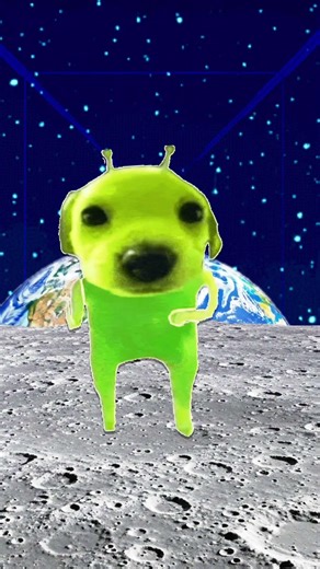 Dog #alien #funny #viral