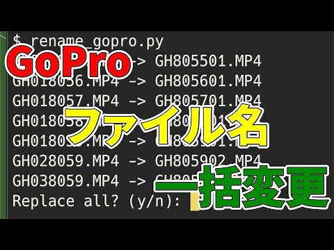 GoPro ファイル名 一括変更 Replace GoPro movie files