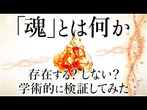 「魂」とは何か？学術的に検証してみた｜羽賀ヒカル×小名木善行
