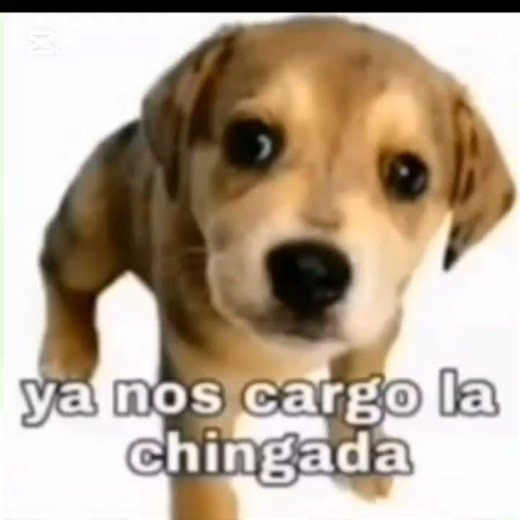 adiós Master🗣️🔥