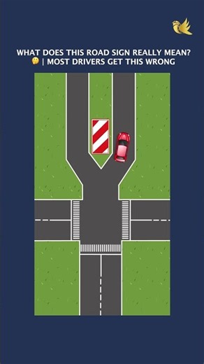 WHAT DOES THIS ROAD SIGN REALLY MEAN?| MOST DRIVERS GET THIS WRONG#drivingexperience