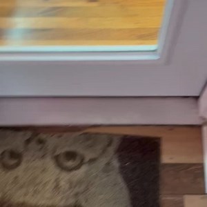 Right Meow Cat Cafe on Reels