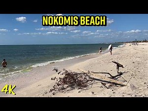 After Hurricane Milton Nokomis Beach Florida 4K