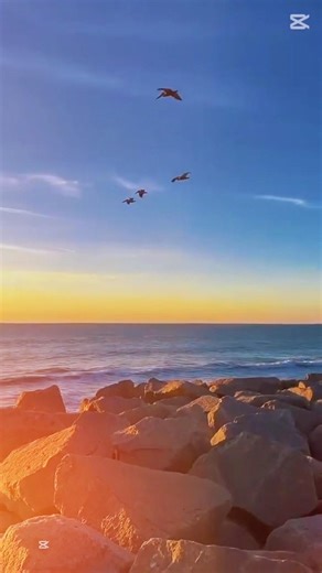 Daylight - Taylor Swift (music video) | “And I Can Still See It All | Aesthetic Status #taylorswift