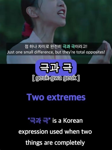 Understanding 극과 극: Polar Opposites in Korean Culture
