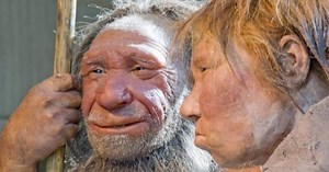 Top 10 Amazing Recent Revelations About Neanderthals