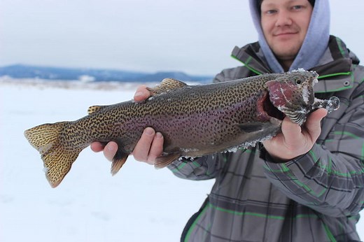 11 Mile reservoir ice fishing report | Current ice conditions for Eleven Mile state park in Colorado