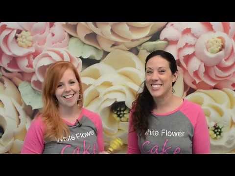 Alice In Wonderland Tea Party Cake and Macarons